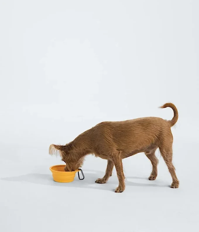 Bol pliabil pentru animale de companie TNF™ Bol pliabil pentru animale de companie TNF™