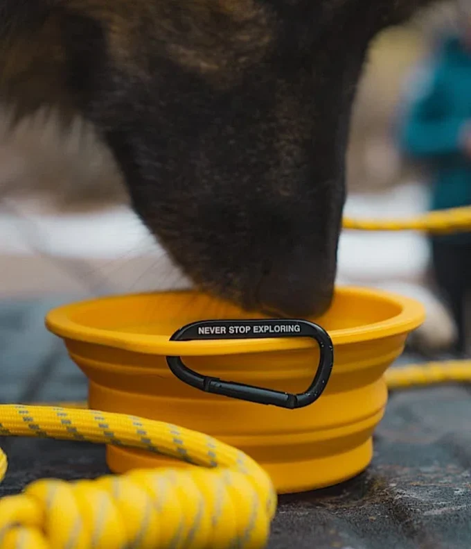 Bol pliabil pentru animale de companie TNF™ Bol pliabil pentru animale de companie TNF™