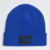 Căciulă cu manșetă și logo TNF™ Căciulă cu manșetă și logo TNF™