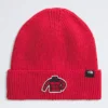 Căciulă cu manșetă și logo TNF™ Căciulă cu manșetă și logo TNF™