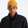 Căciulă cu manșetă și logo TNF™ Căciulă cu manșetă și logo TNF™