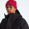 Căciulă cu manșetă și logo TNF™ Căciulă cu manșetă și logo TNF™