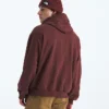Hanorac cu glugă oversized Evolution Simple Dome pentru bărbați Hanorac cu glugă oversized Evolution Simple Dome pentru bărbați