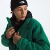 Jacheta retro Denali DTM pentru bărbați Jacheta retro Denali DTM pentru bărbați