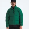 Jacheta retro Nuptse DTM pentru bărbați 1996 Jacheta retro Nuptse DTM pentru bărbați 1996