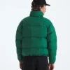 Jacheta retro Nuptse DTM pentru bărbați 1996 Jacheta retro Nuptse DTM pentru bărbați 1996