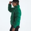 Jacheta retro Nuptse DTM pentru bărbați 1996 Jacheta retro Nuptse DTM pentru bărbați 1996