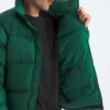 Jacheta retro Nuptse DTM pentru bărbați 1996 Jacheta retro Nuptse DTM pentru bărbați 1996