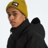 Jacheta RMST GORE-TEX® Nuptse Tek pentru bărbați