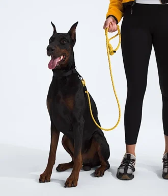Lesă pentru animale de companie TNF™