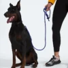 Lesă pentru animale de companie TNF™ Lesă pentru animale de companie TNF™
