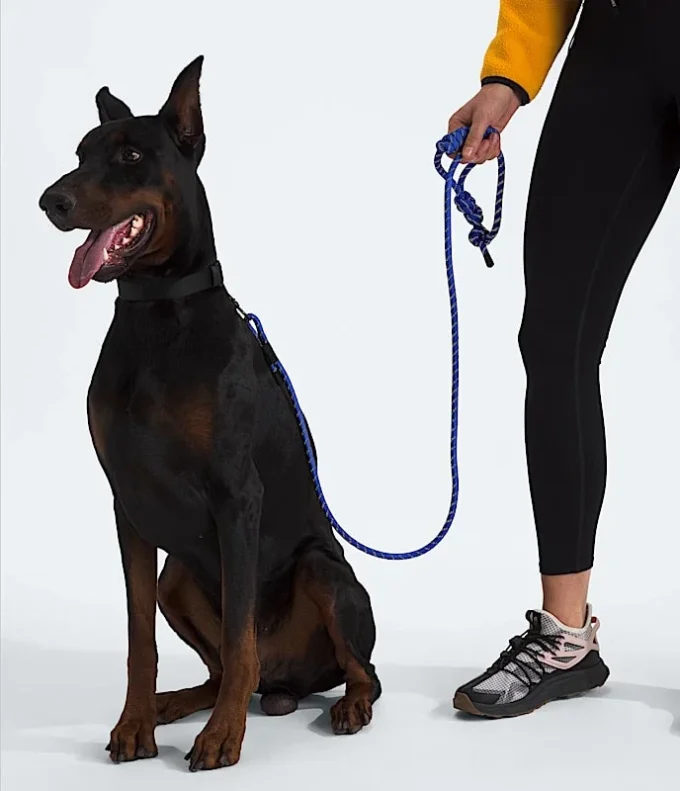 Lesă pentru animale de companie TNF™ Lesă pentru animale de companie TNF™