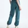 Pantaloni de jogging relaxați, drepți, esențiali pentru femei Pantaloni de jogging relaxați, drepți, esențiali pentru femei