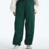 Pantaloni de vânt TNF™ Red Box Packable pentru bărbați Pantaloni de vânt TNF™ Red Box Packable pentru bărbați