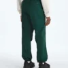 Pantaloni de vânt TNF™ Red Box Packable pentru bărbați Pantaloni de vânt TNF™ Red Box Packable pentru bărbați
