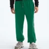 Pantaloni relaxați TNF™ Essential Simple Dome pentru bărbați Pantaloni relaxați TNF™ Essential Simple Dome pentru bărbați