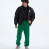 Pantaloni relaxați TNF™ Essential Simple Dome pentru bărbați Pantaloni relaxați TNF™ Essential Simple Dome pentru bărbați
