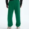 Pantaloni relaxați TNF™ Essential Simple Dome pentru bărbați Pantaloni relaxați TNF™ Essential Simple Dome pentru bărbați