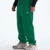 Pantaloni relaxați TNF™ Essential Simple Dome pentru bărbați Pantaloni relaxați TNF™ Essential Simple Dome pentru bărbați