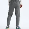 Pantaloni TNF™ Performance Fleece SW pentru bărbați Pantaloni TNF™ Performance Fleece SW pentru bărbați