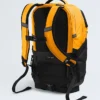 Rucsac Borealis Rucsac Borealis