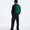Rucsac Borealis Rucsac Borealis