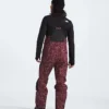 Salopetă pentru bărbați Summit Series Verbier GORE-TEX®