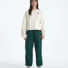 Tricou TNF™ Red Box Crew pentru femei Tricou TNF™ Red Box Crew pentru femei