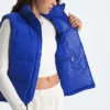 Vestă retro Nuptse DTM pentru femei 1996 Vestă retro Nuptse DTM pentru femei 1996